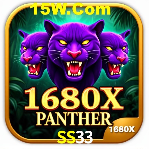 Interface Premium SS33