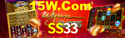 SS33
