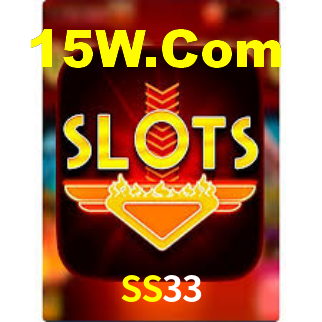 SS33
